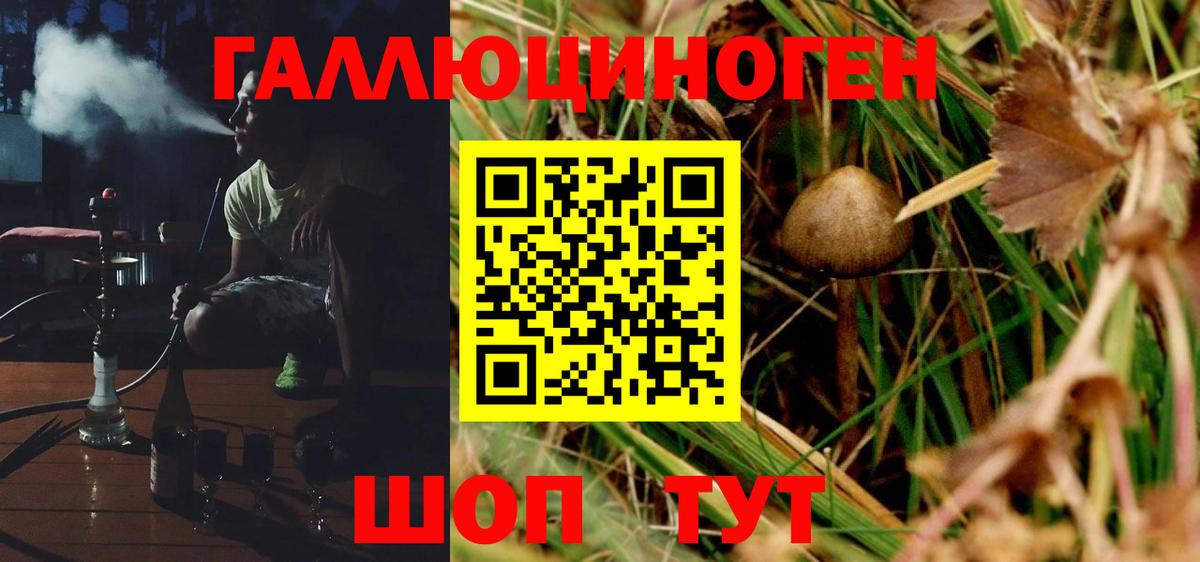 Галлюциногенные грибы мухоморы Кинешма